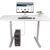StarTech.com 9.8ft (3m) DisplayPort to HDM | 10F-DP-HDMI-4K60-HDR