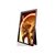 AOC Gaming 16G3 - LED monitor - 15.6" - portable - 1920 x 1080 Fu