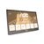 AOC 16T3EA - LED monitor - 16" (15.6" viewable) - portable - 1920