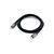 Equip USB 4 Gen 3 C to C Cable, M/M, 2.0m, PD3.1 240W, 8 | 128383