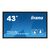 digital signage - with built-in media player and  | TF4339AS-B1AG