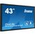 digital signage - with built-in media player and  | TF4339AS-B1AG