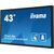 digital signage - with built-in media player and  | TF4339AS-B1AG
