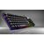 INCA IKG-446 3 colors rainbow LED lighting