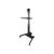 Portable Stand-Up Cart - Cart - for LCD display / PC  | WKSTNCART