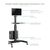 Portable Stand-Up Cart - Cart - for LCD display / PC  | WKSTNCART