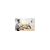 Kensington SmartFit Easy Riser EQ - Notebook cooling p | K52805EU
