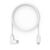 Compulocks 6ft Charge &amp Data USB-C to USB-C 90-De | 6FTALLUSBC
