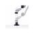 StarTech.com Monitor Desk Mount, VESA 75x75 | 1MP1ACG-MONITOR-ARM
