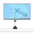 StarTech.com Monitor Desk Mount, VESA 75x75 | 1MP1ACG-MONITOR-ARM