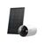 Tapo C410 KIT V1 - Network surveillance camera - indoor, outdoor