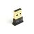 Gembird BTD-MINI5 - Network adapter - USB 2.0 - Bluetooth 4.0 - C