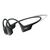 AfterShokz OpenRun Pro - Headphones with mic - open  | S810-ST-BK