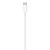 Apple USB-C to Lightning Cable - Lightning cable - 24 | MUQ93ZM/A