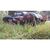 Amewi AM10SC V2 / Short-course/Stadium off-road truck / 1 | 22192