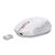 Sharkoon OfficePal M25W, Right-hand, Optical, RF  | 4044951039654