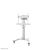 Neomounts - Mounting kit (mount bracket) - for video  | AV2-500WH