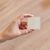 Shelly SHELLY_B_WS_4 / Buttons / Ivory / Plastic  | Shelly_B_WS_4
