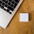 Shelly SHELLY_B_WS_4 / Buttons / Ivory / Plastic  | Shelly_B_WS_4