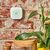 Shelly Gas LPG / LPG / Home / 2412 - 2484 MHz /  | Shelly_Gas_LPG