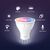 Tapo L630 - LED spot light bulb - GU10 - 3.7  | Tapo L630(2-pack)