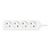 Manhattan Power Distribution Unit EU (2-pin), x4 gang/ou | 167802