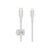 Belkin BOOST CHARGE Lightning cable 24 pin USBC CAA011BT1MWH