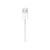 Apple Magnetic Smart watch charging cable USB male 1 MX2E2ZMA