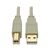 Eaton Tripp Lite Series USB 2.0 A to B Cable (M/M)  | U022-010-BE