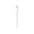 Apple Lightning cable Lightning male to USB male 2 MD819ZMA
