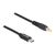 Delock - Power cable - 24 pin USB-C (M) to DC jack 5.5 x  | 87978