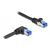 Delock - Network cable - RJ-45 (M) straight to RJ-45 (M)  | 80221