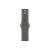 Apple Watch Series 10 (GPS + Cellular) - 42 mm - natu | MWXE3QF/A