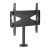 Neomounts DS42-430BL14 - Stand - bolt-down - for TV - steel - bla