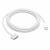 Apple USBC to MagSafe 3 Cable 2m Silver Cable MW613ZMA