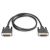 ASSMANN - DVI cable - dual link - DVI-D (M) to  | AK-320108-010-S