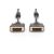 ASSMANN - DVI cable - dual link - DVI-D (M) to  | AK-320108-010-S