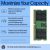 HP - DDR5 - module - 16 GB - SO-DIMM 262-pin - 5600 MHz | AL0M6AA