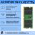 HP - DDR5 - module - 32 GB - SO-DIMM 262-pin - 5600 MHz | AL0M7AA