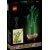 LEGO Lucky Bamboo 10344