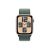 2nd generation - 44 mm - starlight aluminium - smart  | MXGV3QF/A