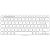 Logitech Keys-To-Go 2 for iPad - Keyboard - built-in | 920-013018