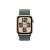 2nd generation - 40 mm - starlight aluminium - smart  | MXGH3QF/A