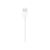 Apple - Lightning cable - Lightning male to USB male  | MUQW3ZM/A