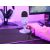 Trust GXT 234P YUNIX - Microphone - USB - purple | 25375