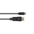 Alcasa GC-M0106 / 2 m / USB Type-C / DisplayPort / 5 mm