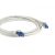 Alcasa 8060-SF050 / 5 m / Cat6a / S/FTP (S-STP) / RJ-45 / RJ-45