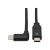 USB 2.0, Thunderbolt 3, 100W PD Charging, Right | U040-02M-C-5ARA