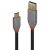 Lindy Anthra Line - USB cable - USB Type A (M) to 24 pin  | 36919