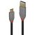 Lindy Anthra Line - USB cable - USB Type A (M) to 24 pin  | 36919
